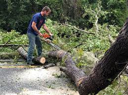 Best Aeration Services  in Stone Ridge, NY