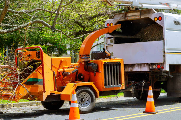 Best Grass Overseeding  in Stone Ridge, NY