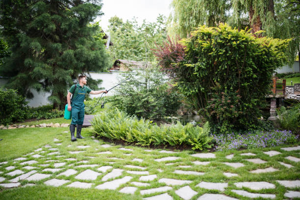 Best Tree Disease Treatment  in Stone Ridge, NY