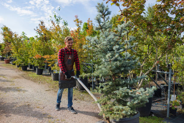 Best Fruit Tree Pruning  in Stone Ridge, NY